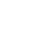 The 2 Mortgage Guys logo